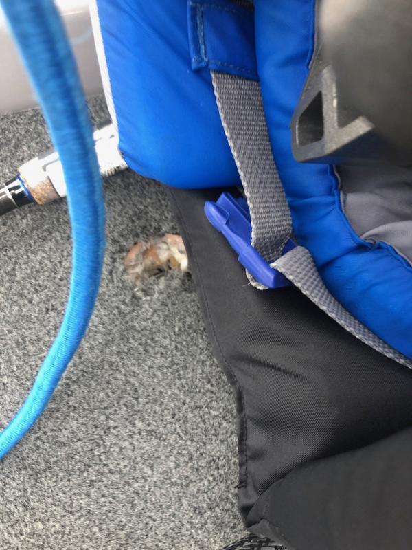 Photo submitted with review of product