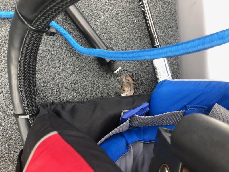 Photo submitted with review of product