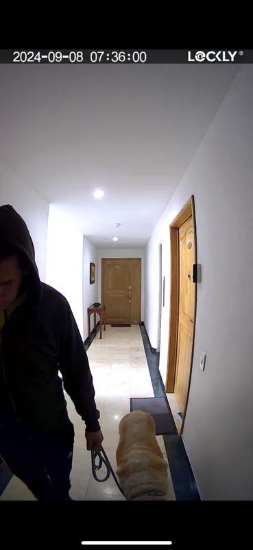 Doggy after his walk