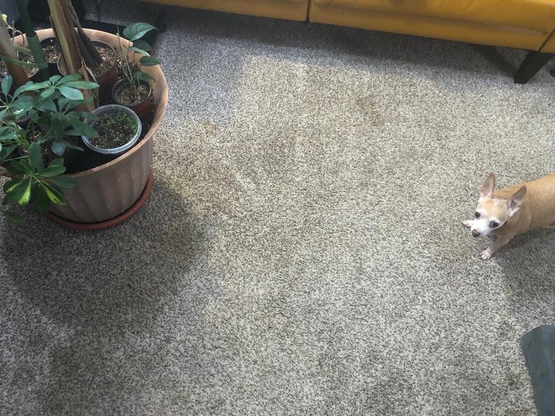 Picture of the floor space before placing the area rug