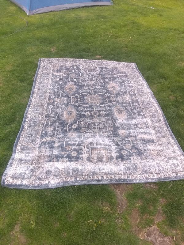 Teagan TEA08 Ivory/Mist 6'7 x 9'2 Rug