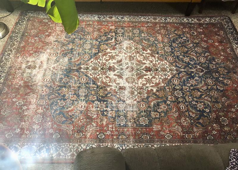 Love the coloring and the area rug covers plenty of floor area!