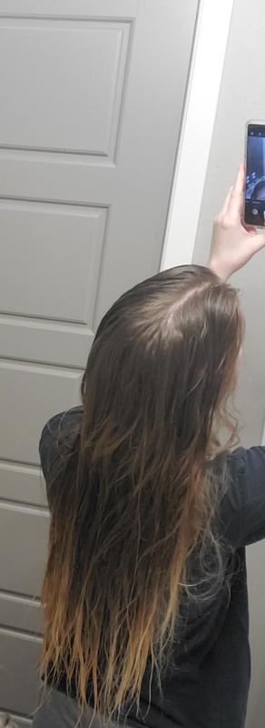 Wet hair before product was applied