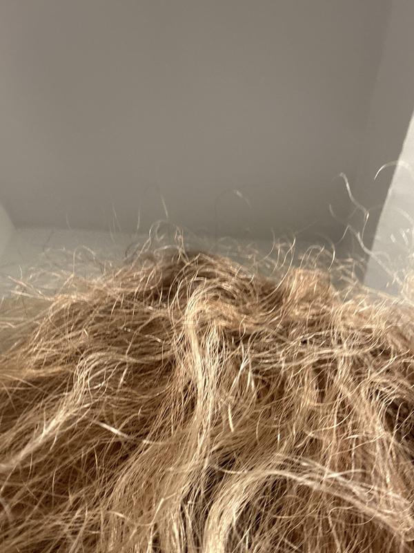 Review photo 2