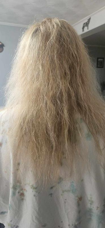 fried hair