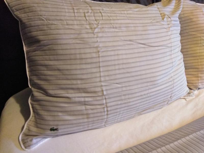 Shaw with added Lacoste Symbol