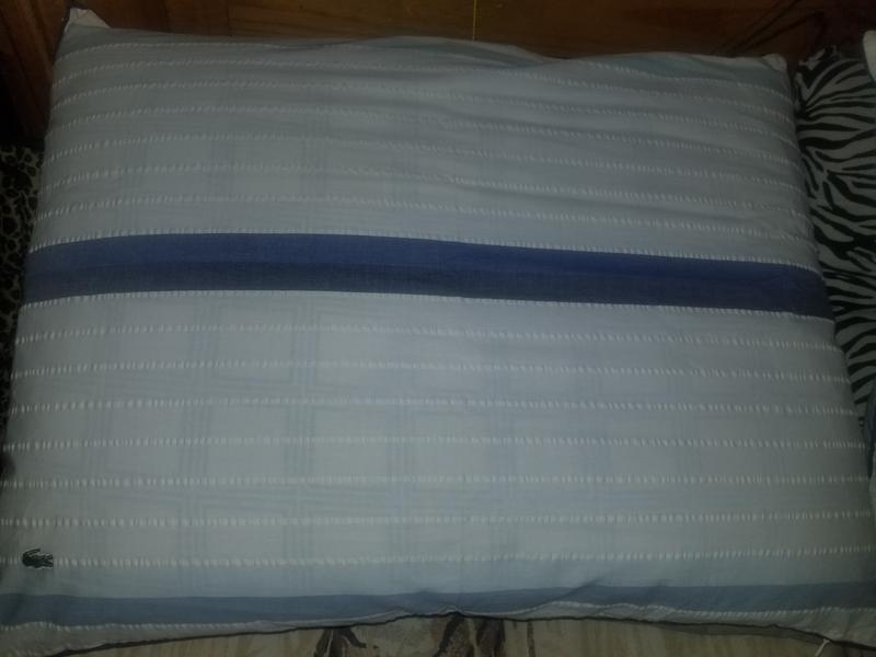 Pillow