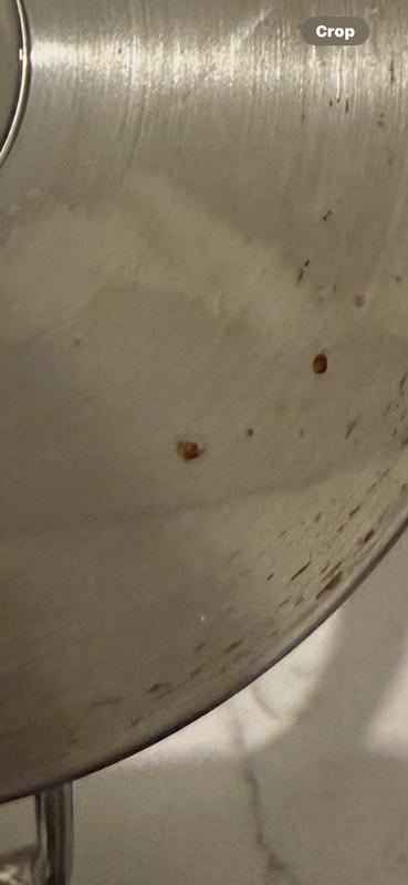 First dishwasher cycle