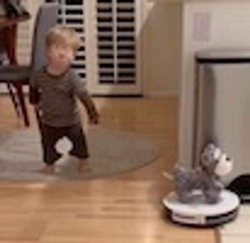 Taking Whiskers for a ride on Rosie the Robot