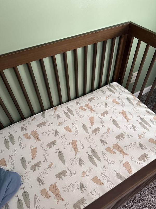 Review Thumbnail Image 1 377255475