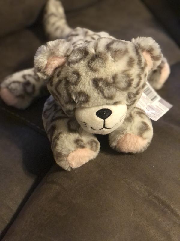 Cute and cuddly animal