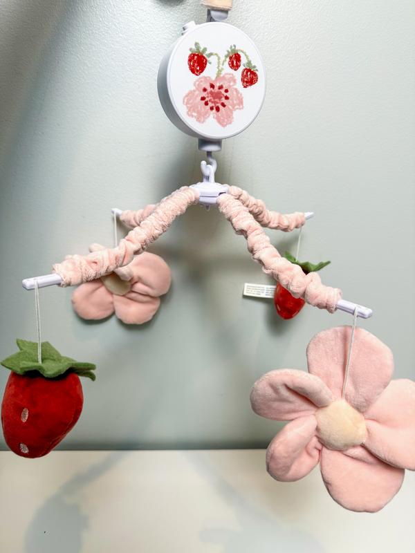 Review Thumbnail Image 0 362373814