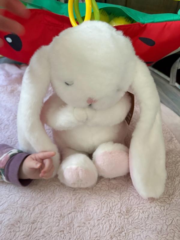 Review Thumbnail Image 0 344609251