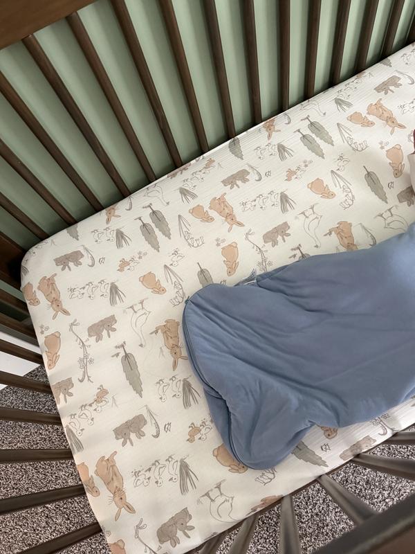 Review Thumbnail Image 0 377255475