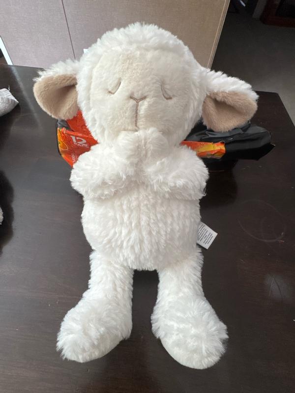 Customer photo for "It perfect size , it can be used for girl or boy ,"