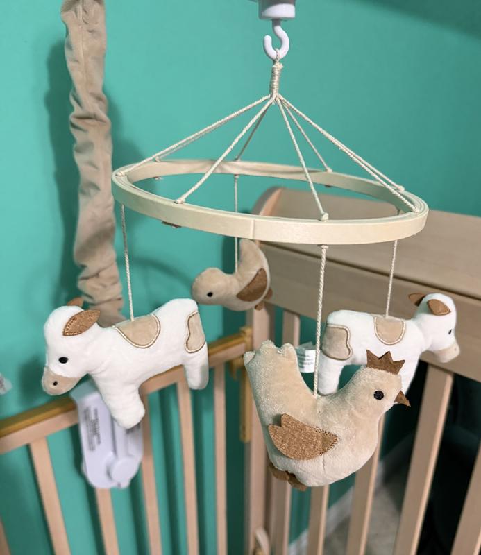 Review Thumbnail Image 0 364261910