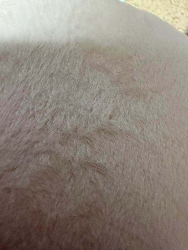 Review Thumbnail Image 4 270569787