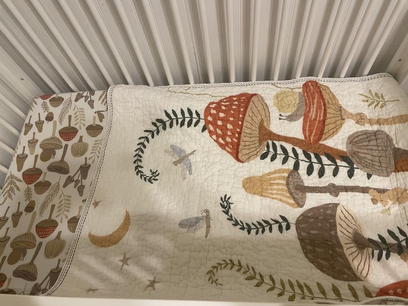 Review Thumbnail Image 0 379073678