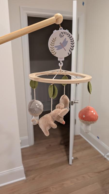 Review Thumbnail Image 0 378990323