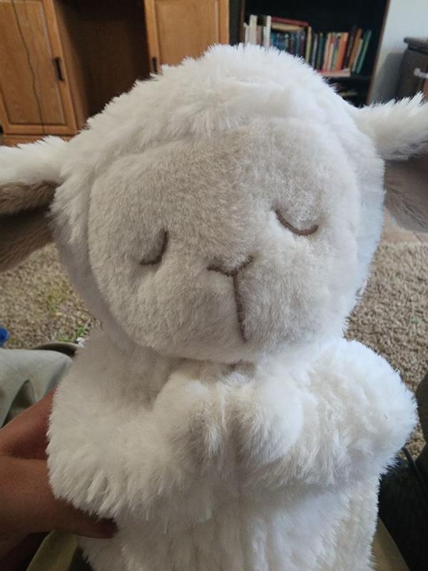 Review Thumbnail Image 0 345593108