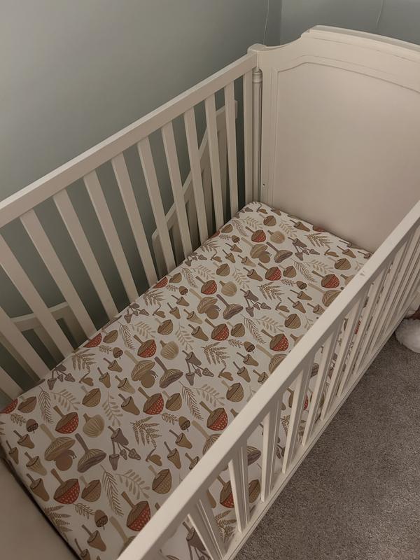 Review Thumbnail Image 0 379567160