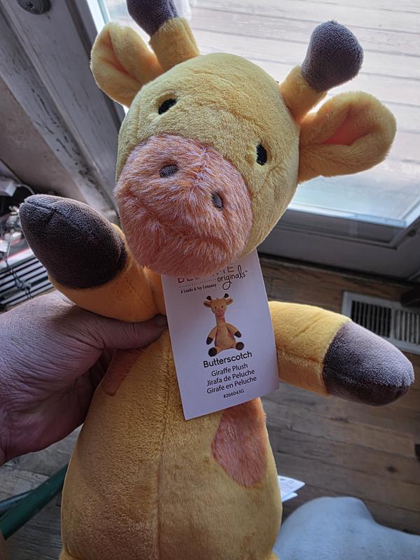 Review Thumbnail Image 0 373365456