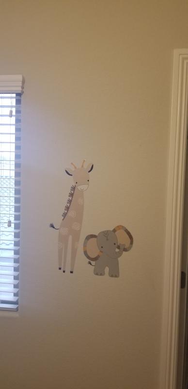 Photo from Viswesh