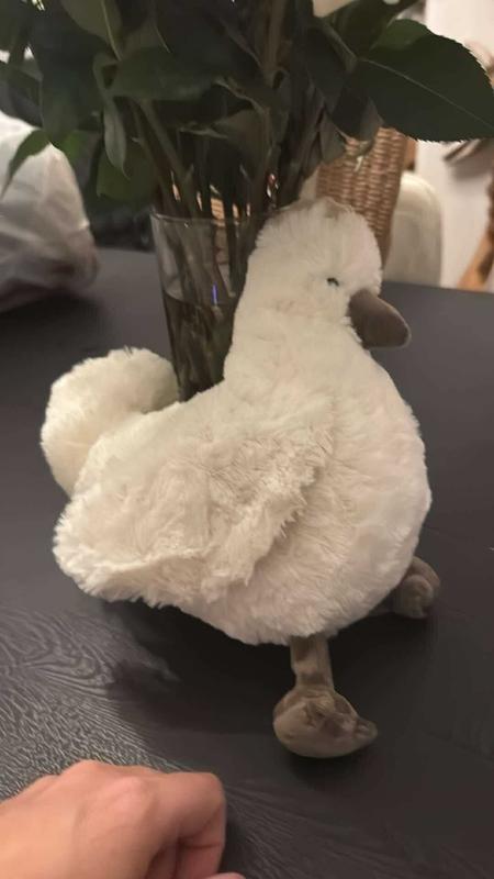 Customer photo for "Super soft plush"
