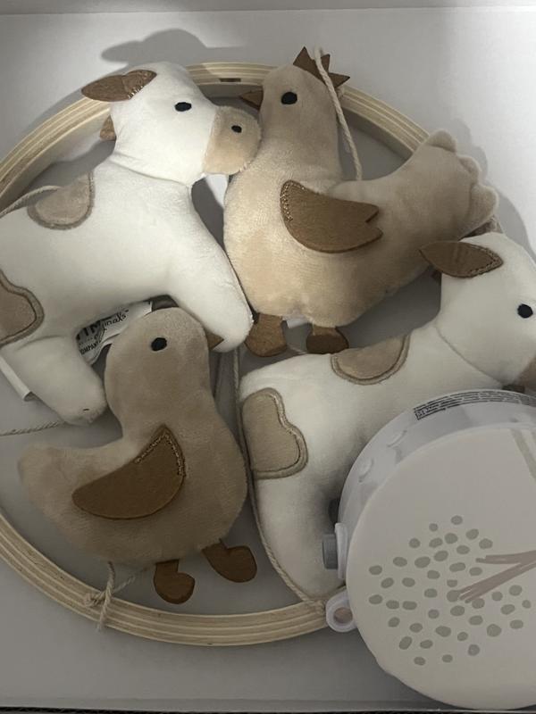 Review Thumbnail Image 0 361331852