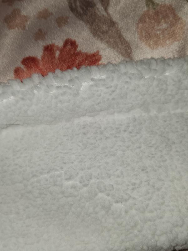 Review Thumbnail Image 2 364508563