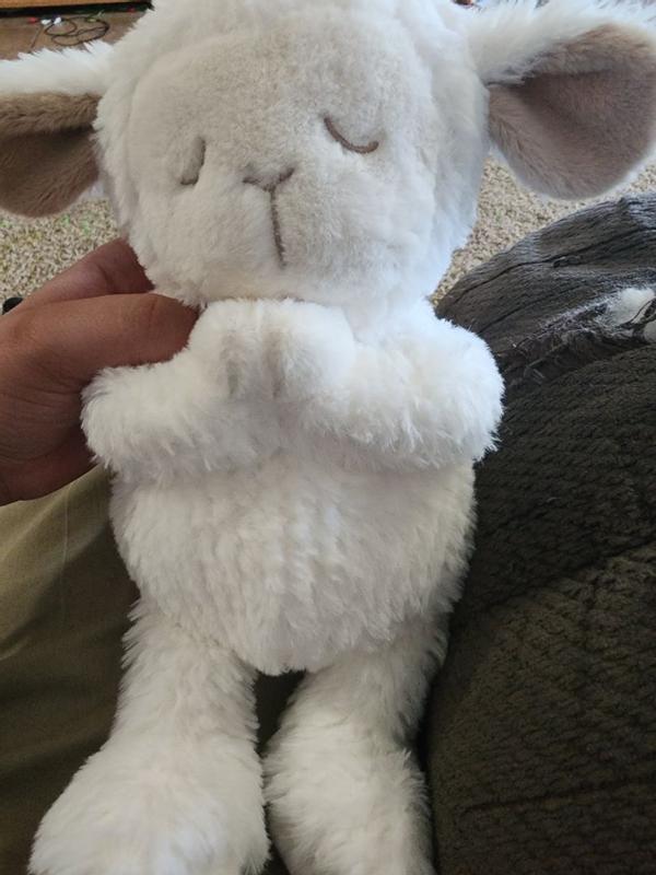 Review Thumbnail Image 1 345593108