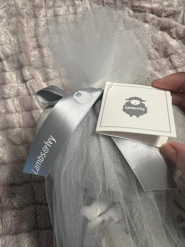 Photo from txmommy02