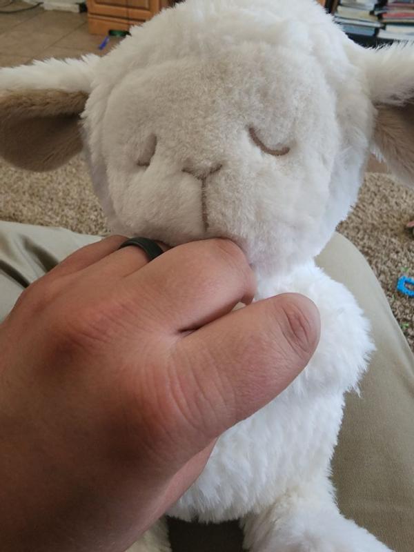 Review Thumbnail Image 2 345593108