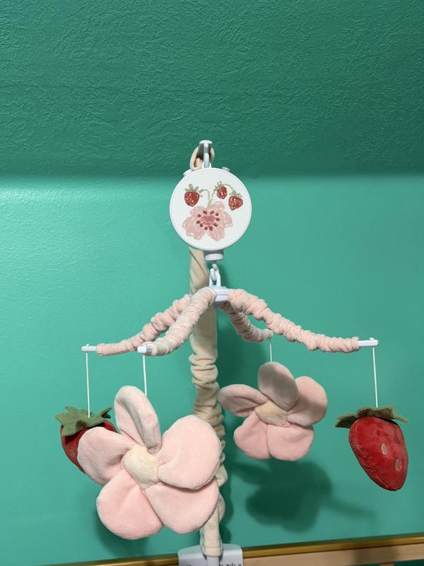 Review Thumbnail Image 0 364081945