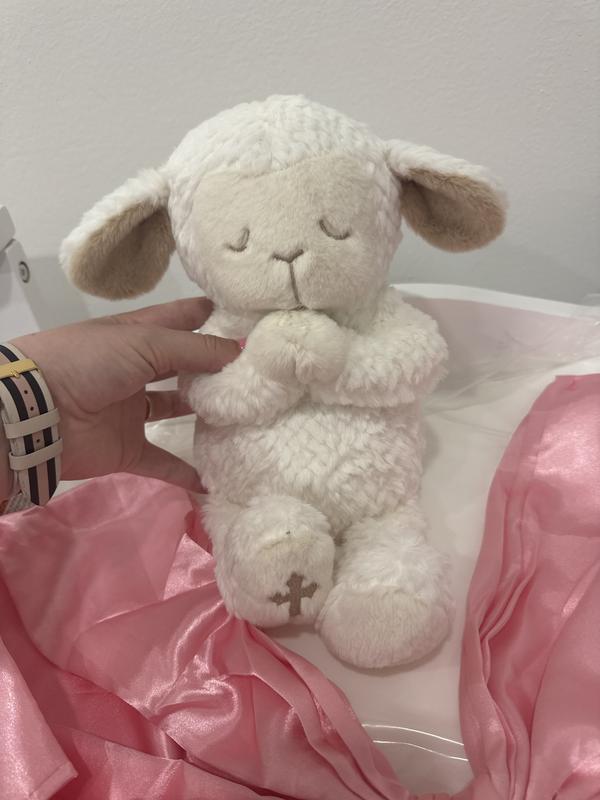 Review Thumbnail Image 0 360155482