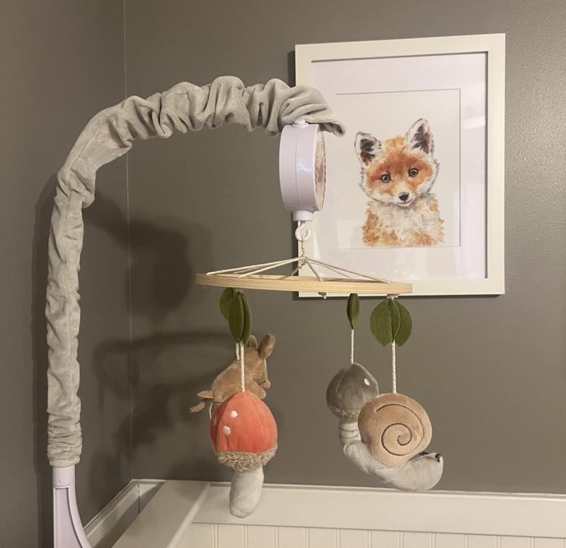 Review Thumbnail Image 0 378694555