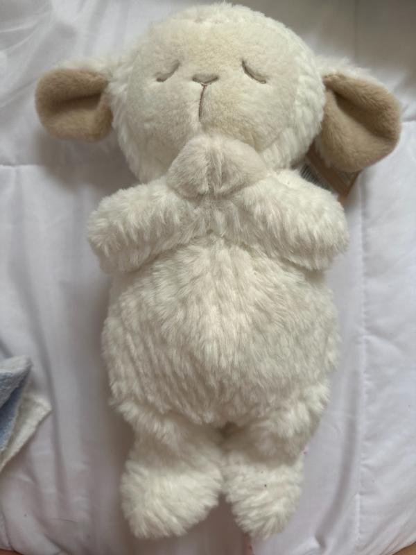 Review Thumbnail Image 0 354136256