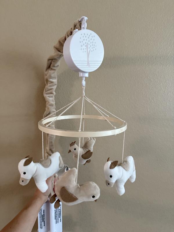 Review Thumbnail Image 0 361474798