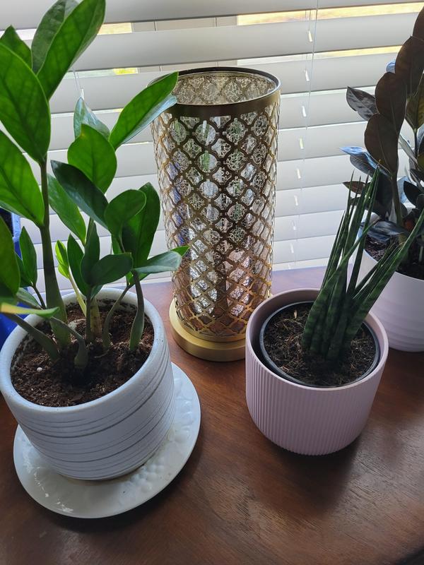 Cute, a little dark brass but it works for the space.