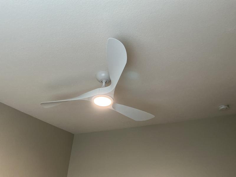 Fan in average size bedroom.