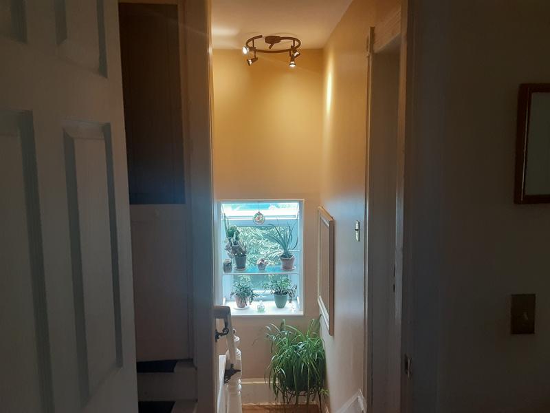 Pro Track Ian 4-Head LED Ceiling Track Light Fixture Kit With Floating Canopy Spot Light Gu10 Dimmable White Transitional Kitchen Bathroom Living Room Dining Hallway Bedroom Decor House 48 Wide