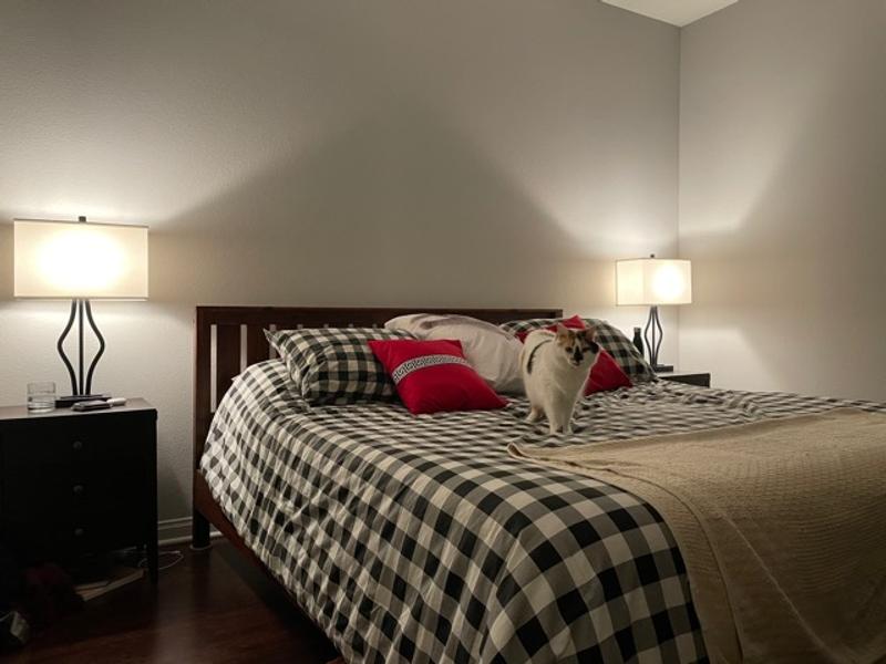 Love the lamps!!  Only con..cannot charge the newest Iphone on these lamps. The plug is different.