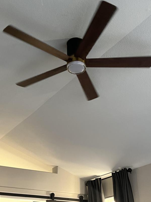 Nice fan, dimmable light would be an enhancement. Wire diagram is not drawn correctly