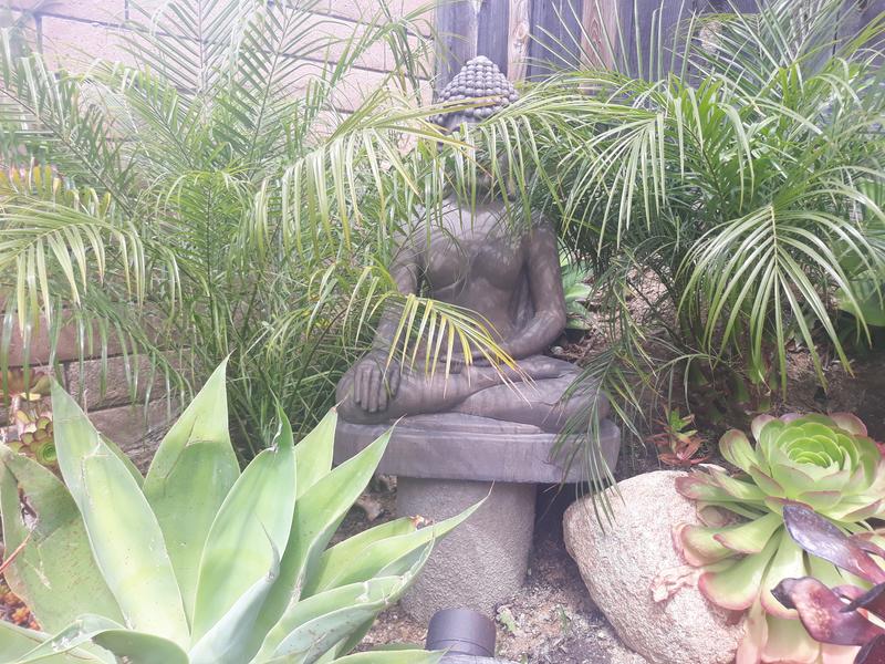 Photo from BabitaJ