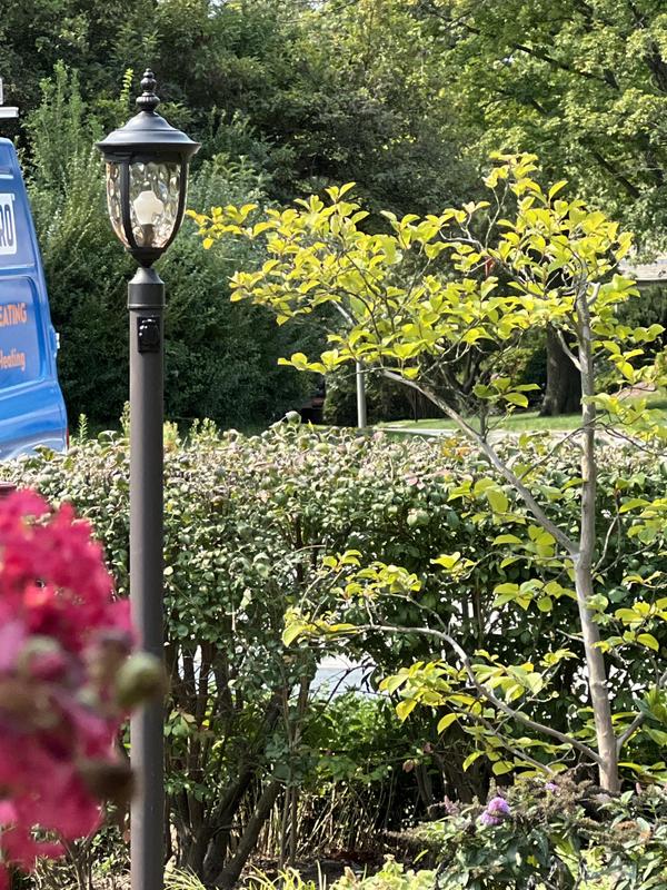 Front of our walk way.