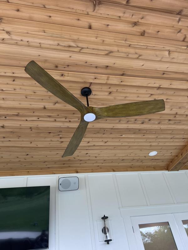 Blades turned yellowish green.