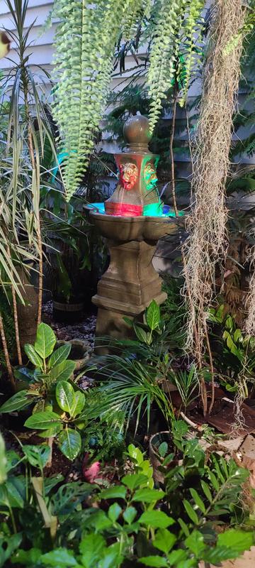 Photo from orlandop