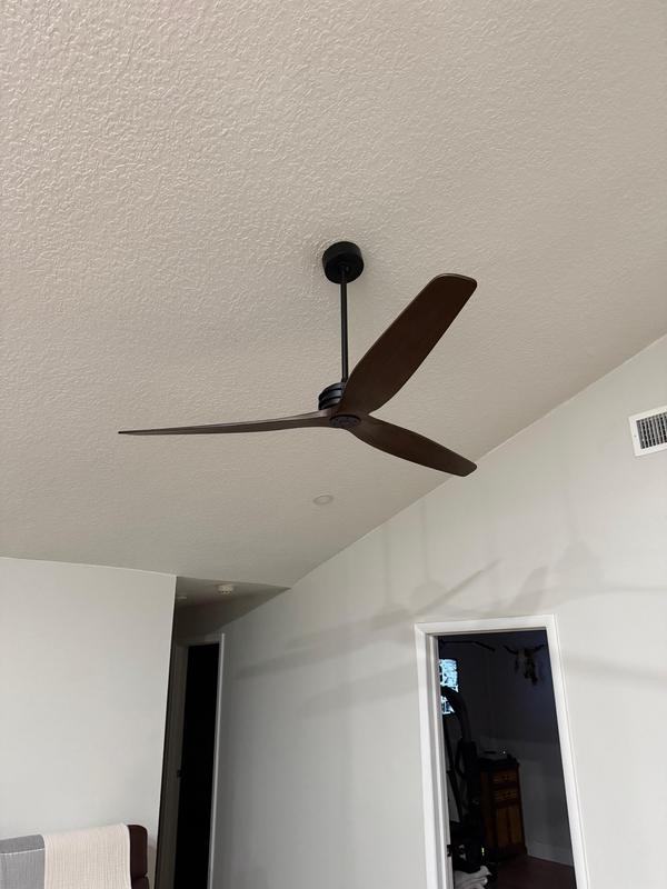 Great looking fan in our living room