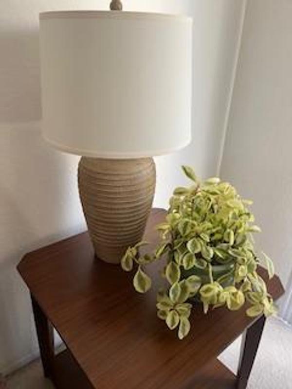 Great looking lamp! Perfect on brown end tables.