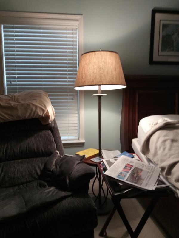 Very nice reading lamp for the bedroom!